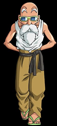 Dragon Ball character Master Roshi