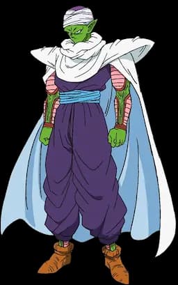 Dragon Ball character Piccolo